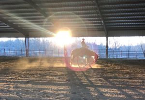 Farrier’s Magic began on a horse farm in Berlin Center