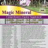 Magic Mineral Top Dress Comprehensive Horse Supplement
