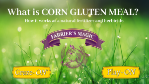 What is Corn Gluten Meal? How it Works as a Natural Herbicide and Fertilizer