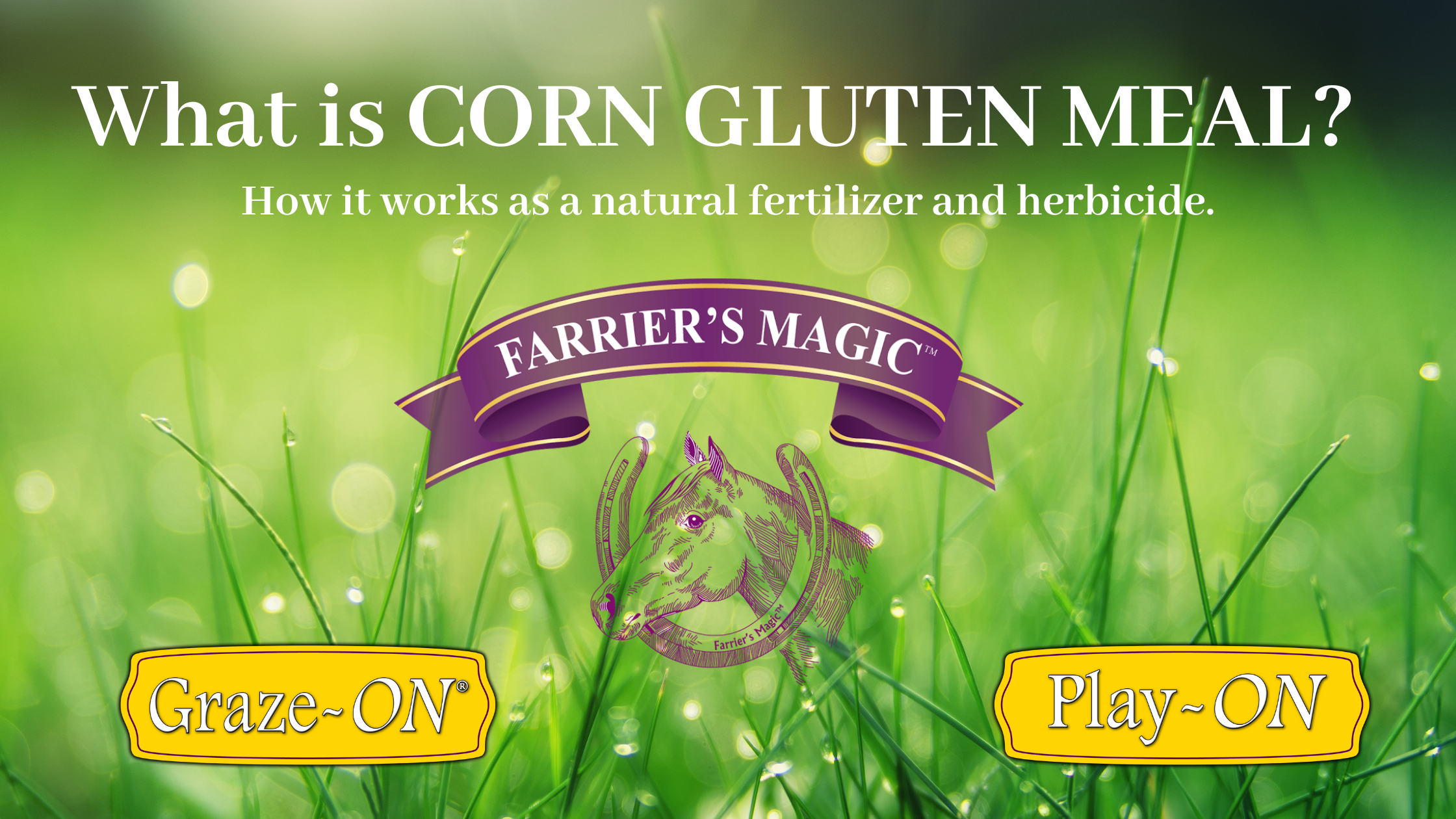 What is Corn Gluten Meal? How it Works as a Natural Herbicide and Fertilizer