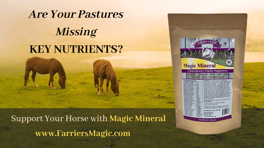 How Soil Nutrient Deficiencies Impact Horse Health and Why a ...