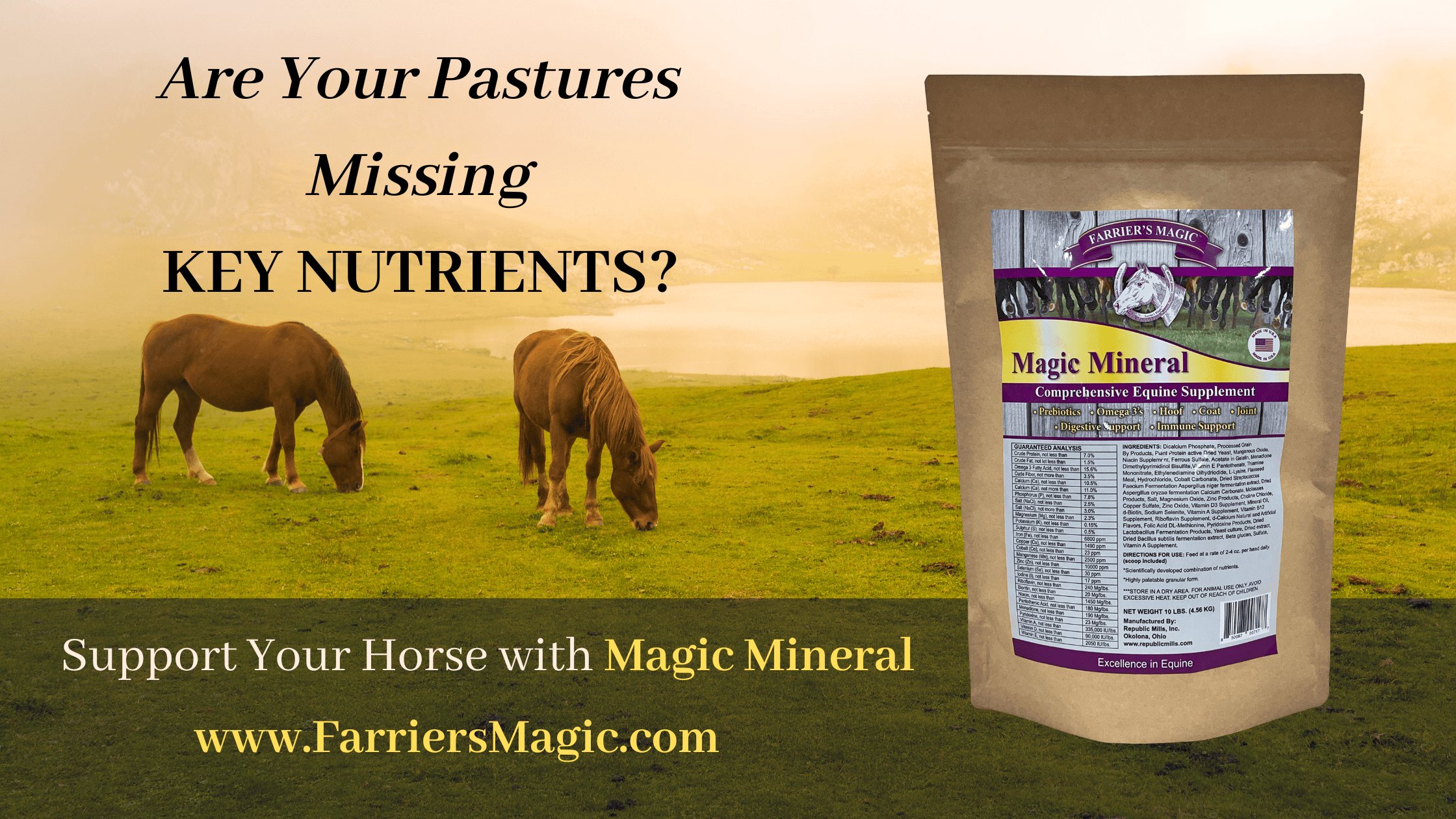 How Soil Nutrient Deficiencies Impact Horse Health and Why a Comprehensive Mineral Supplement Matters