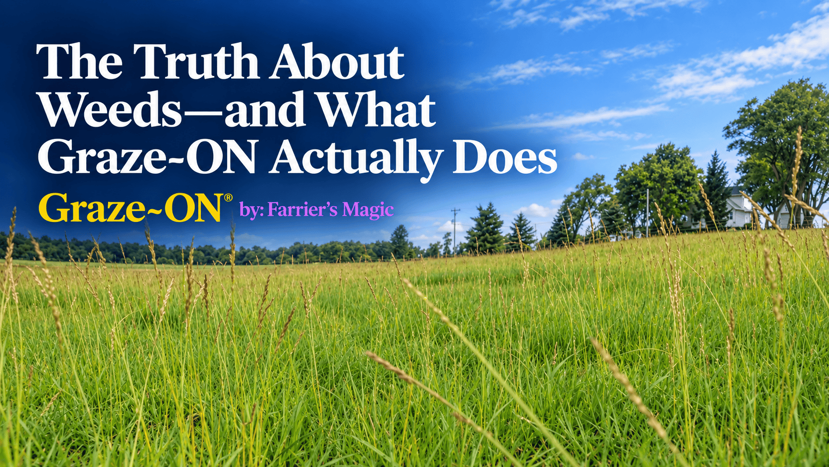 Fewer Weeds. Stronger Grass. Here’s How Graze-ON Works