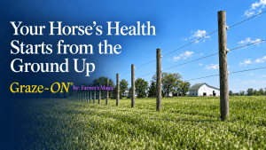 Your Horse’s Health Starts from the Ground Up