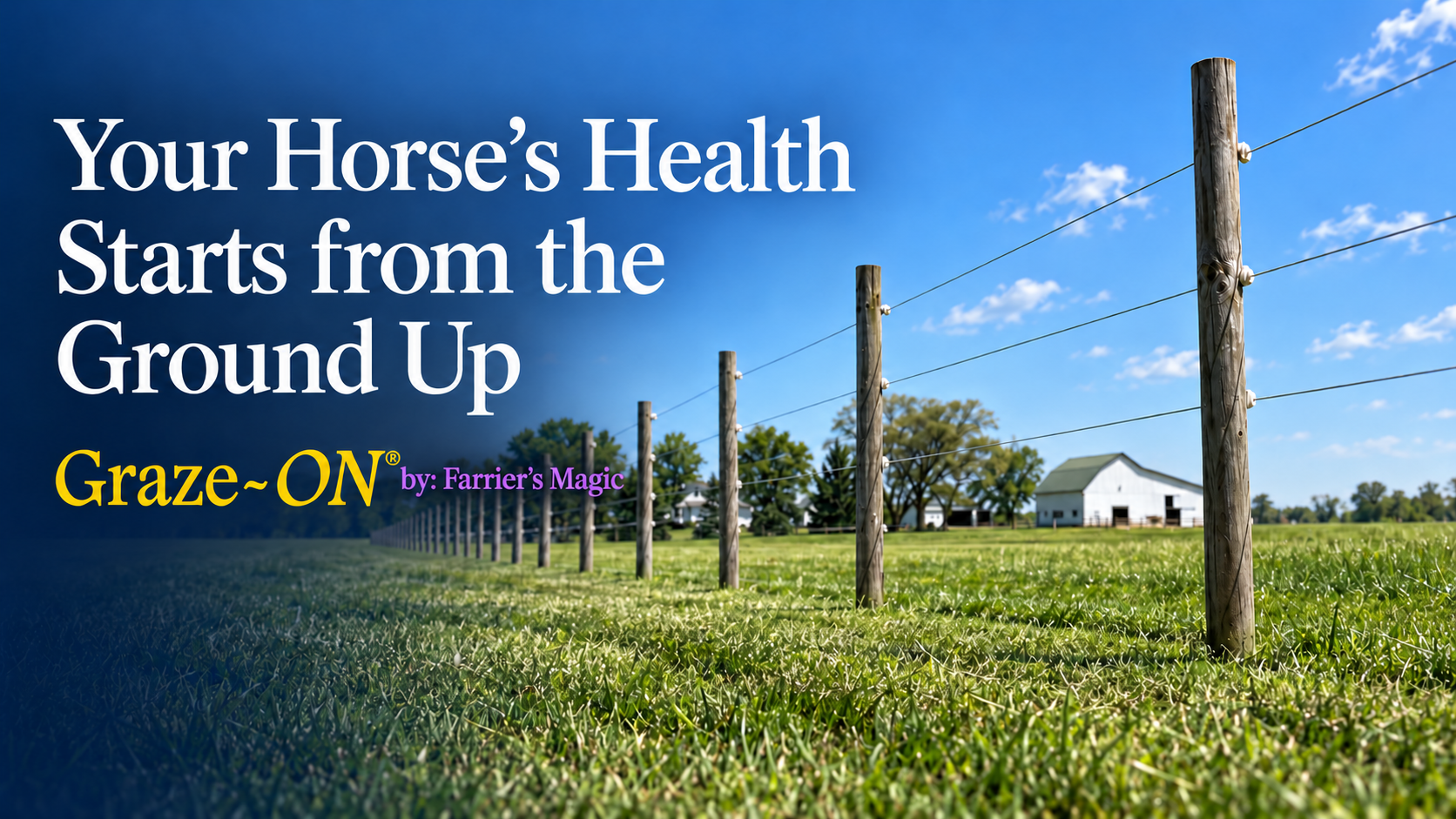 Your Horse’s Health Starts from the Ground Up